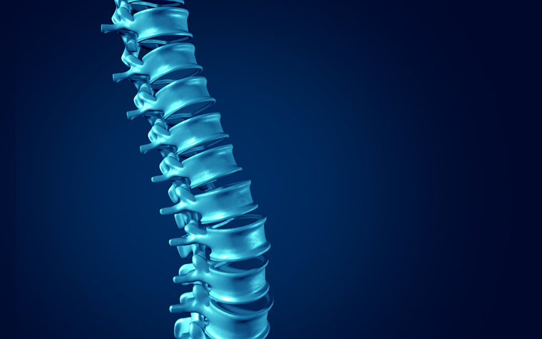 Pharma Franchise is the Spine of Indian Pharmaceutical Market